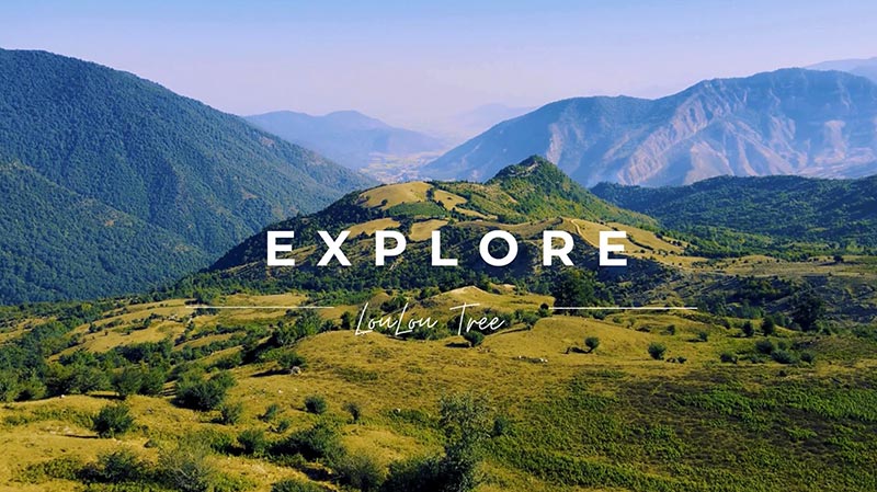 Explore LouLou Tree Explore LouLou Tree
